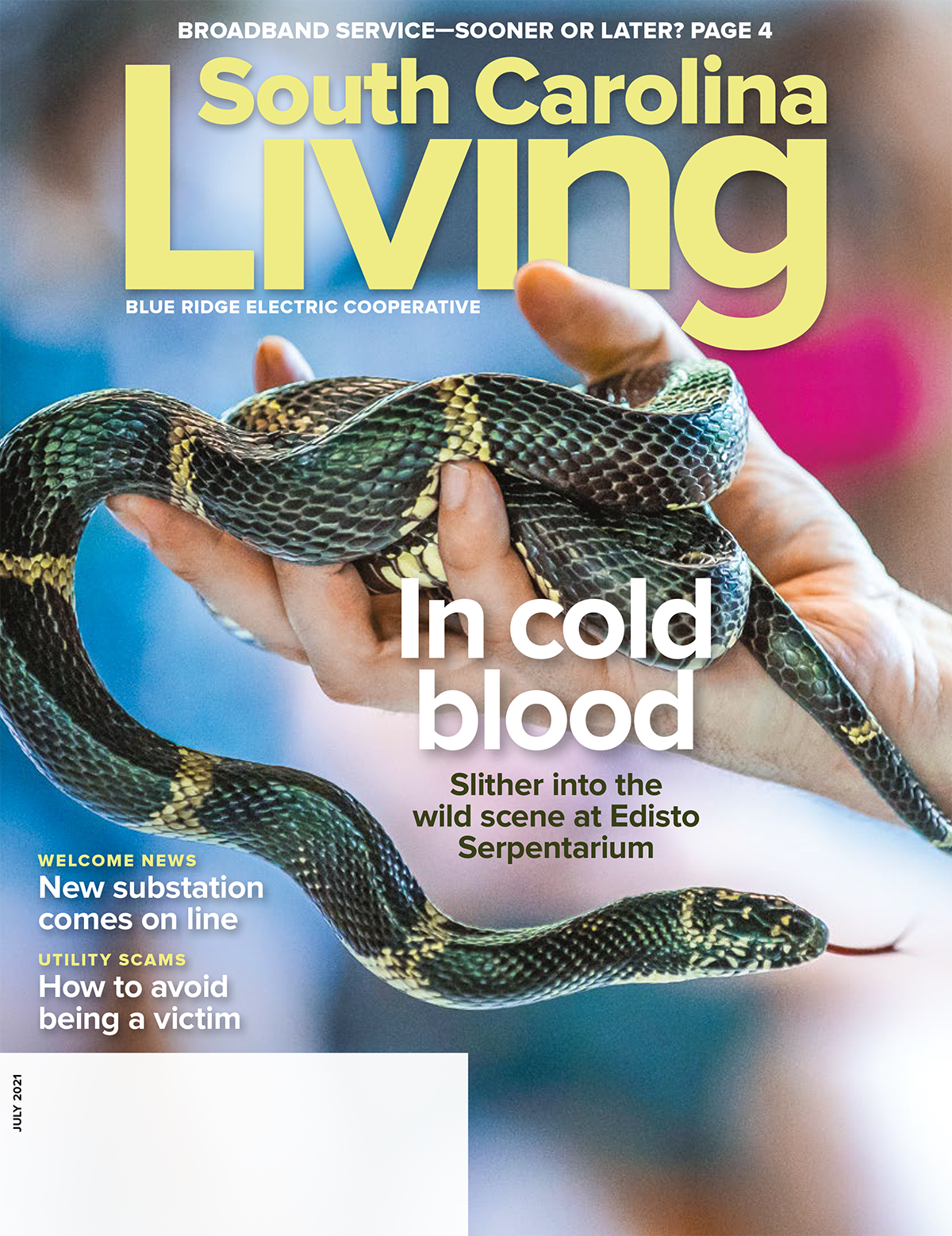 SC Living Cover July