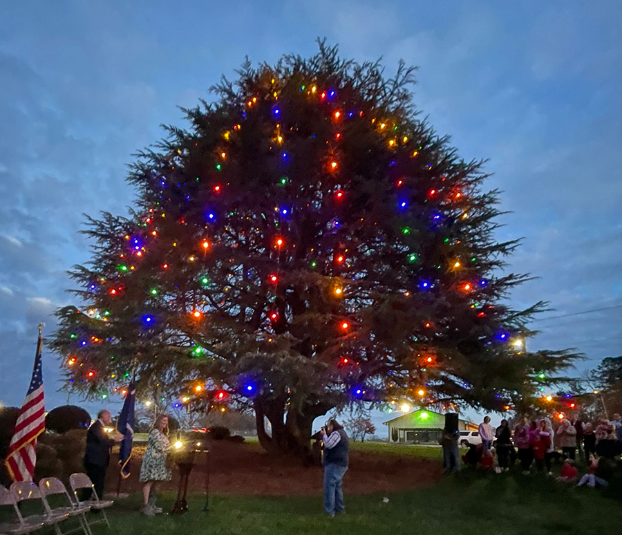 Christmas Tree