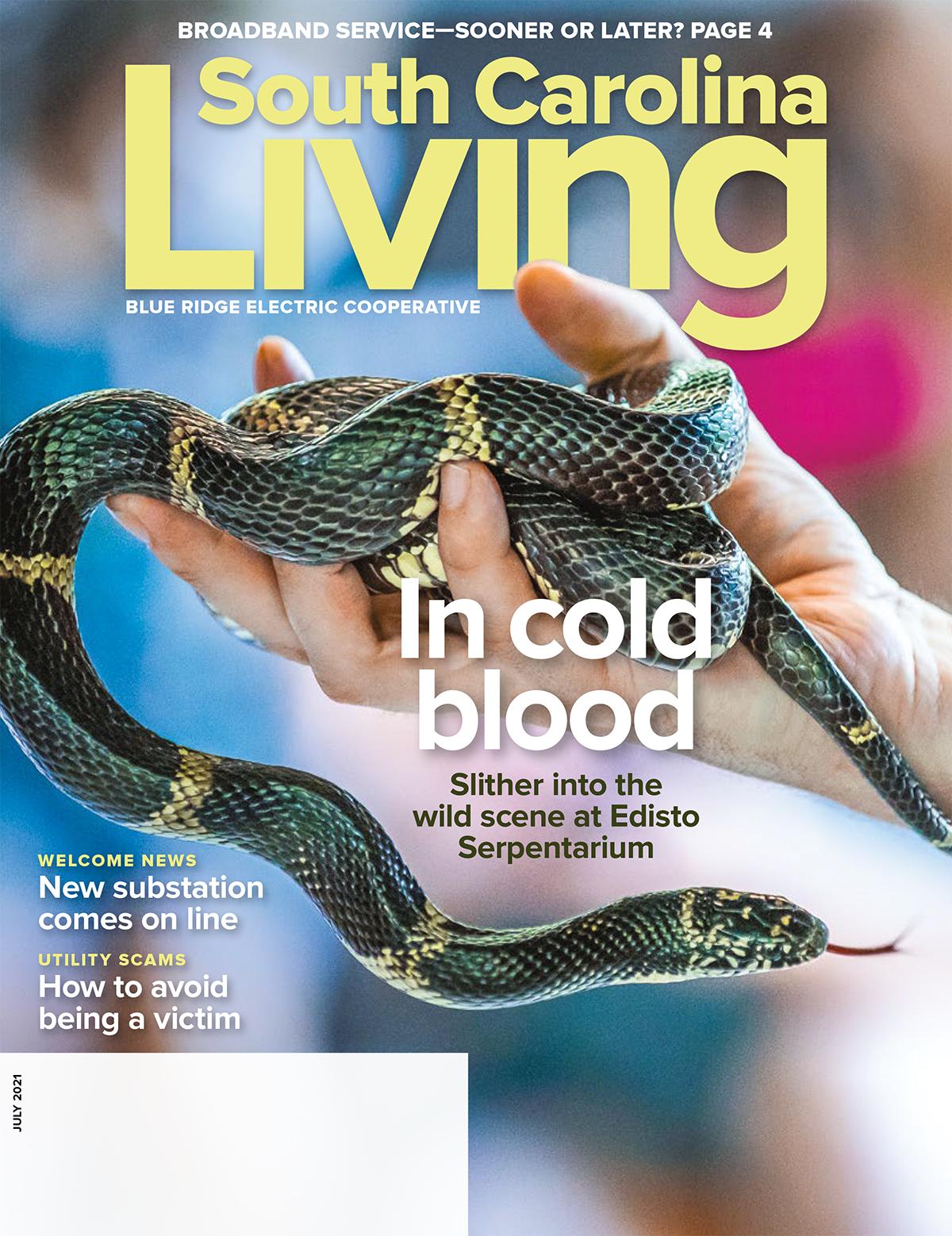 SC Living Cover July