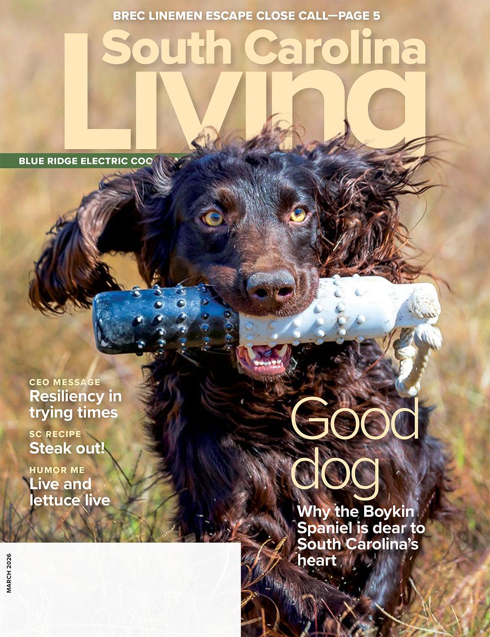 SC Living Cover March